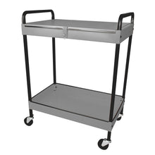 Carro utilitario de lámina 25" 2 niveles Surtek